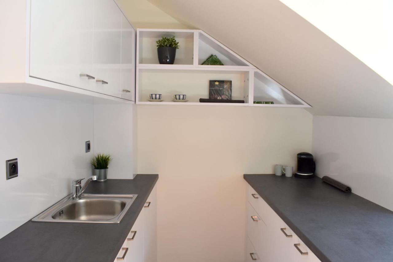 New Central Rooftop With Private Wellness, Sauna & Whirlpool Bath Prague Extérieur photo