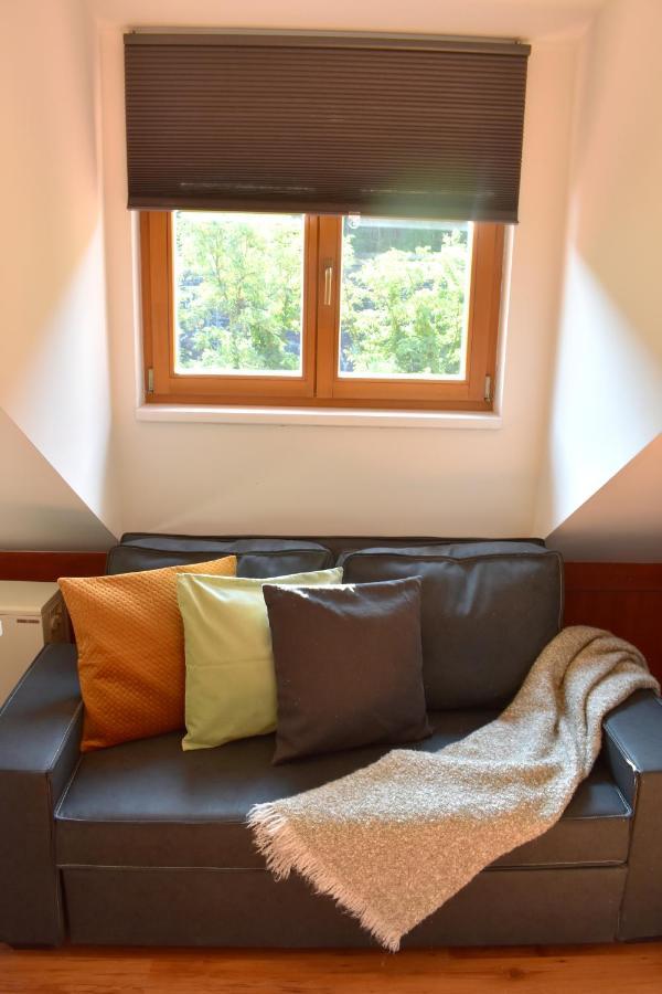 New Central Rooftop With Private Wellness, Sauna & Whirlpool Bath Prague Extérieur photo